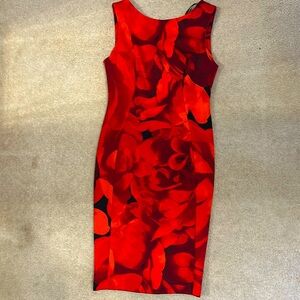 Calvin Klein size 8 dress